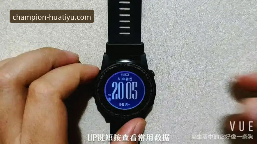 热刺换帅风暴：图多尔铁腕治军深度评测报告